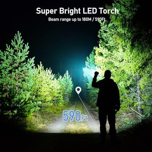 Blukar LED Taschenlampe Aufladbar, 4 Lichtmodi & Wasserdicht für Camping, Wandern, Outdoor - 2 Stück